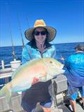 © Fisho's Tackle World Hervey Bay