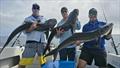 © Fisho's Tackle World Hervey Bay