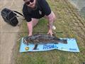 © Fisho's Tackle World Hervey Bay