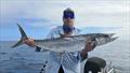 © Fisho's Tackle World Hervey Bay