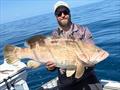 © Fisho's Tackle World Hervey Bay