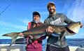 © Fisho's Tackle World Hervey Bay