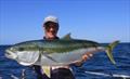 VRFish releases Kingfish Survey results © VRFish