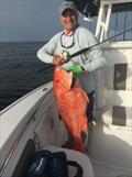 © American Sportfishing Association