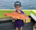 © Fisho's Tackle World Hervey Bay