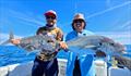 © Fisho's Tackle World Hervey Bay