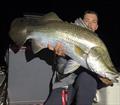 © Fisho's Tackle World Hervey Bay