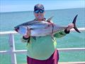 © Fisho's Tackle World Hervey Bay