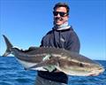 © Fisho's Tackle World Hervey Bay