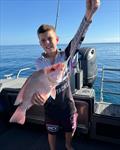 &copy; Fisho's Tackle World Hervey Bay