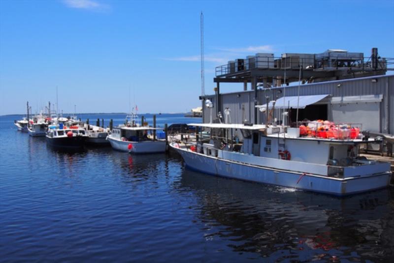 Pelagic longline fishing vessels on the Gulf of Mexico in Florida photo copyright NOAA Fisheries taken at  and featuring the Fishing boat class