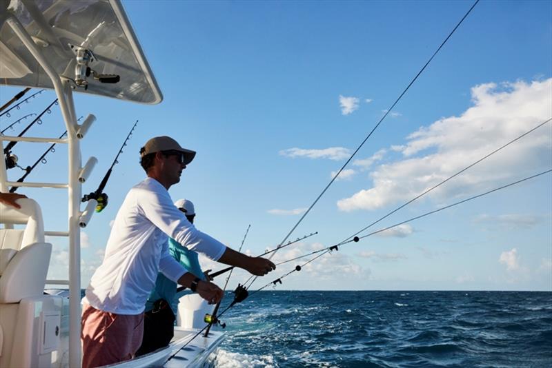 Regulator 41 - Marlin fishing - photo © Regulator Marine