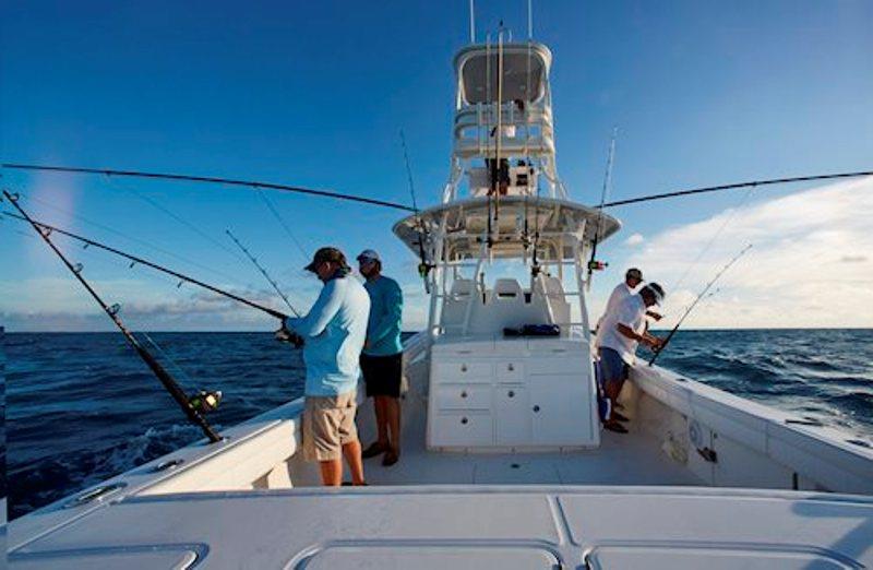 Regulator 41 - Offshore fishing boat - Oversize cockpit - photo © Regulator Marine