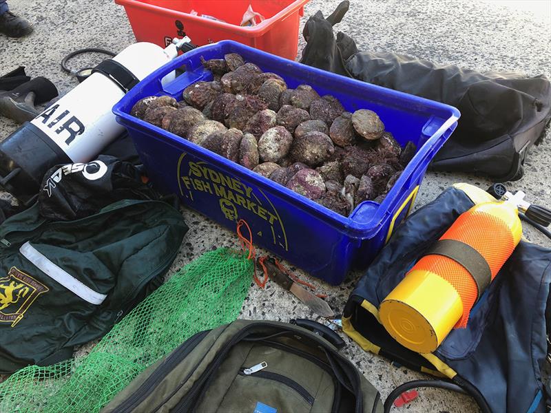 Victorian Fisheries Authority officers catch out alleged illegal fishing for abalone near Cowes - photo © Bronte Ryan