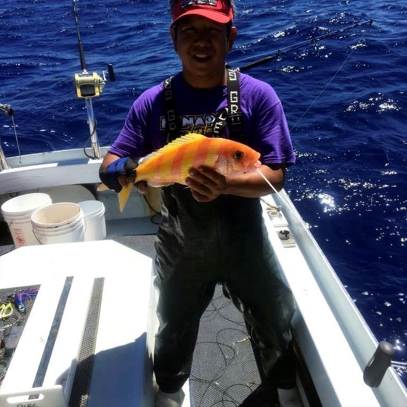 Fisherman from the Pacific Islands Fisheries Group with a gindai or Brigham's snapper as part of the bottomfish fishery-independent survey - photo © Pacific Islands Fisheries Group