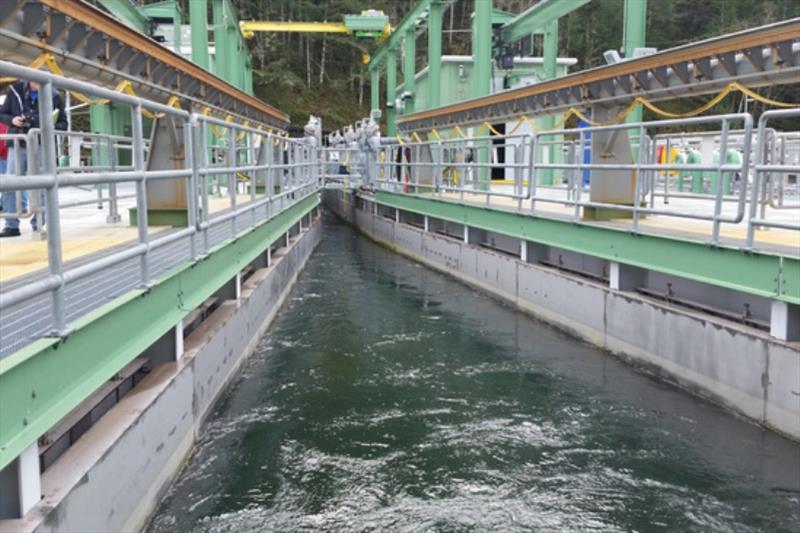 The floating surface collector on the Clackamas River helps juvenile salmon go downstream safely past hydropower facilities - photo © NOAA Fisheries