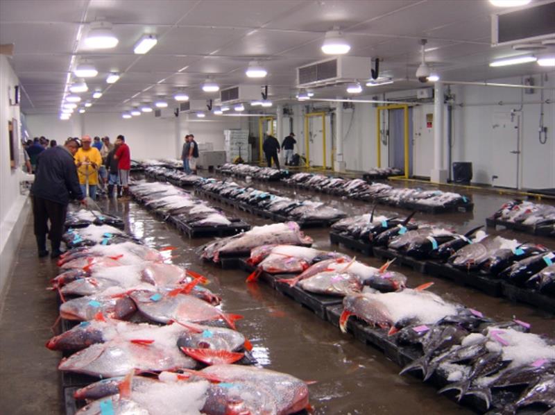 United Fishing Agency auction house, Hawaii photo copyright NOAA Fisheries / Justin Hospital taken at  and featuring the Fishing boat class