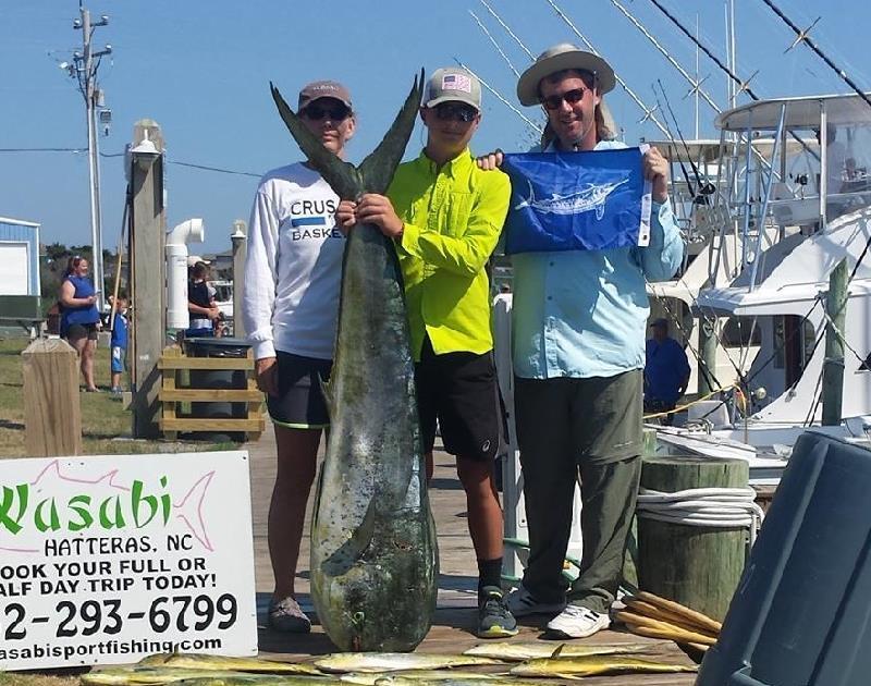A potential new world record dolphinfish (Coryphaena hippurus) weighing 33.05 kilograms (72 pounds, 14 ounces) was caught on July 3, 2018 by angler Lucas Duke while fishing with Wasabi Sportfishing out of Hatteras, North Carolina. - photo © IGFA