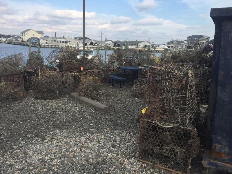 A pile of collected derelict crab pots photo copyright Emily Heiser taken at  and featuring the Fishing boat class