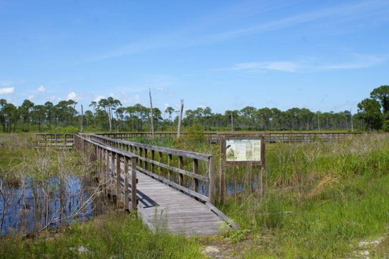 A boardwalk meandering through Alabama wetlands photo copyright gulfspillrestoration.noaa.gov taken at  and featuring the Fishing boat class