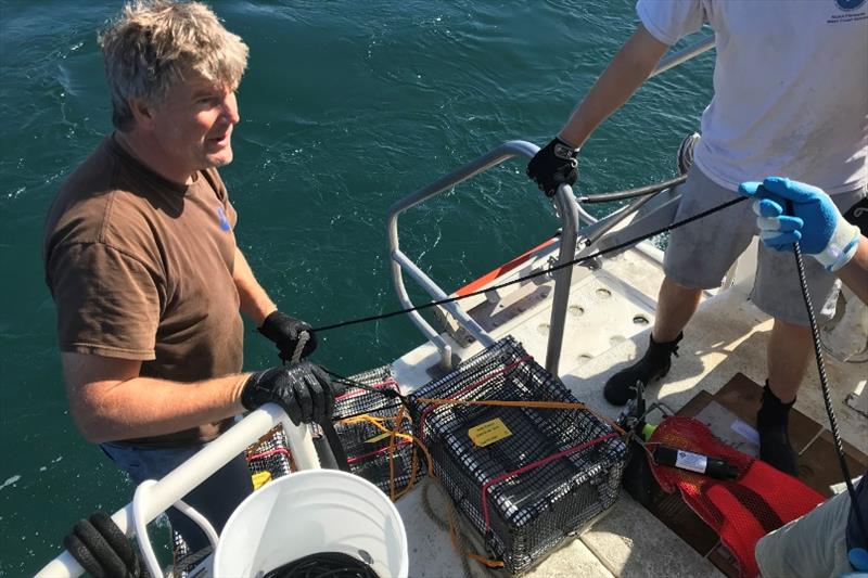 Completed SAFEs being readied for deployment. - photo © NOAA Fisheries