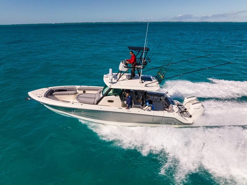 Whaler 360 Outrage - photo © Richard Steinberger Photography