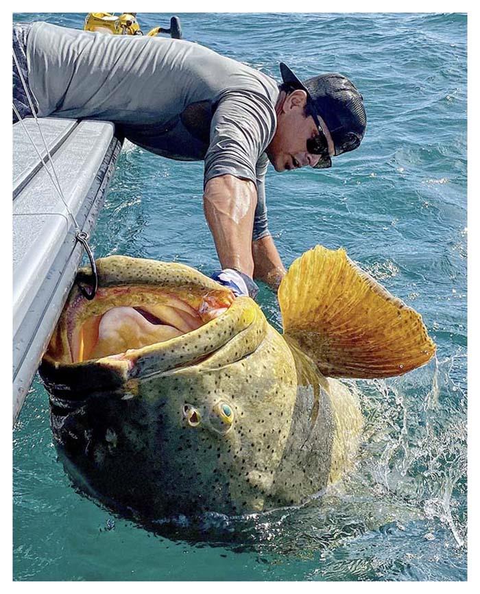 Join Captain Marko at 7:00 am EST this Saturday, April 16 on ESPN, fishing in his backyard near Sanibel, Florida while conducting research with FWC scientist, Bob Ellis, on Cobia and goliath grouper photo copyright Raymarine taken at  and featuring the Fishing boat class