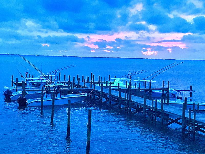 Ocean Legacy in the Bahamas - photo © Yellowfin