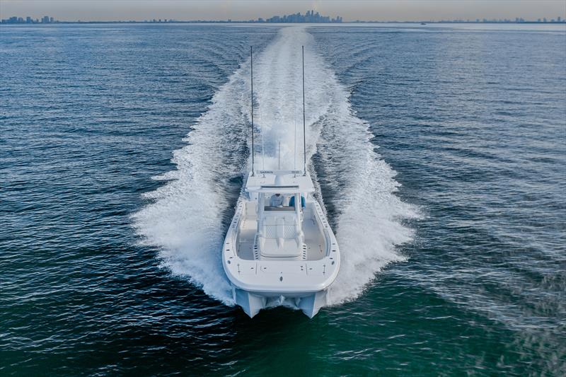 Invincible 33 Catamaran - photo © Boat Monster