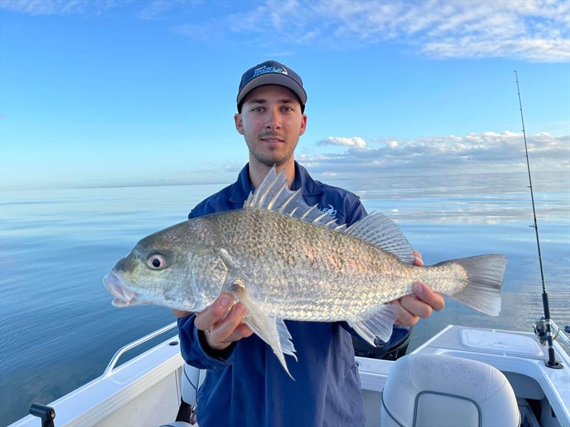 The open waters of the bay is where the bigger numbers can be found photo copyright Fisho's Tackle World taken at  and featuring the Fishing boat class