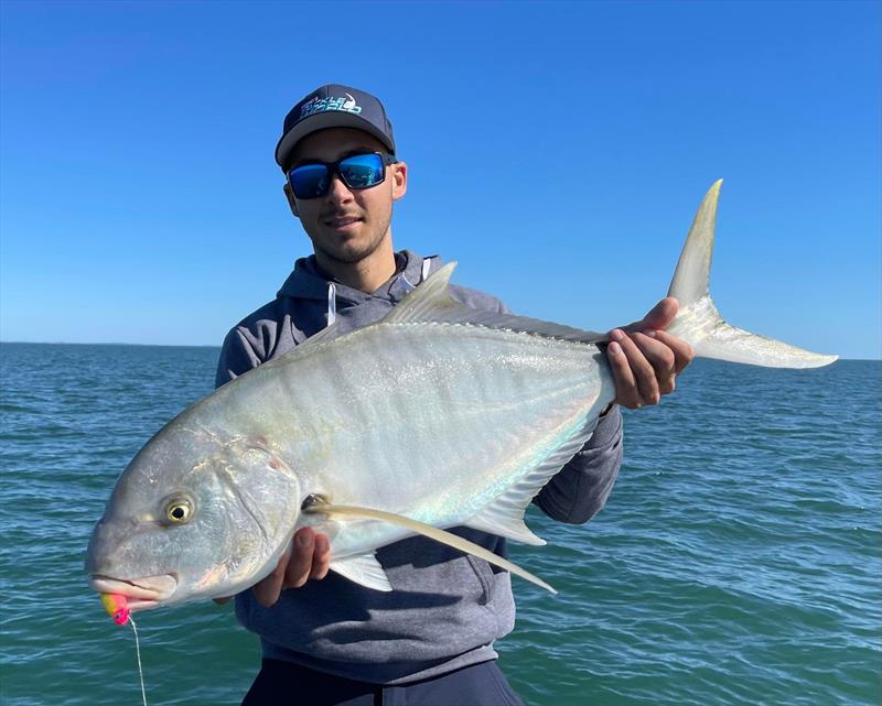 A 30kg cobia - photo © Fisho's Tackle World