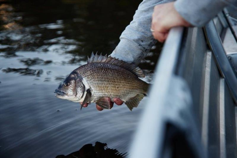 …and released photo copyright Spot On Fishing Hobart taken at  and featuring the Fishing boat class