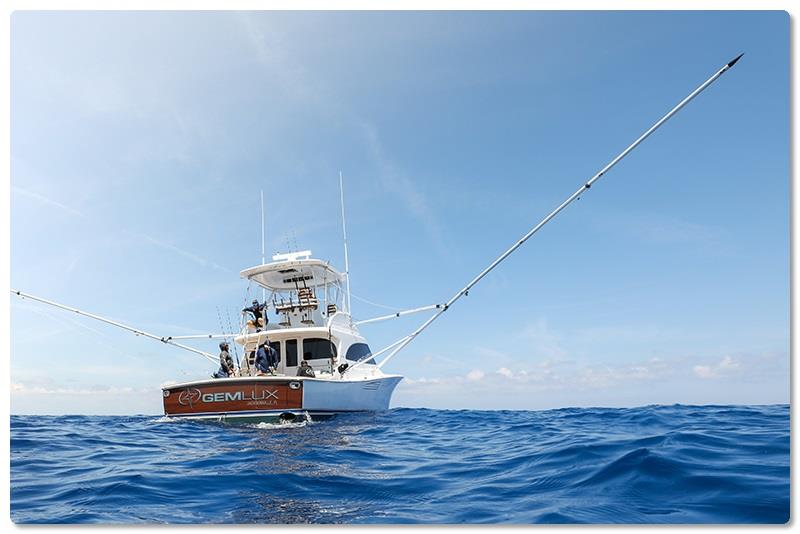 46 Billfish - photo © Viking Yachts