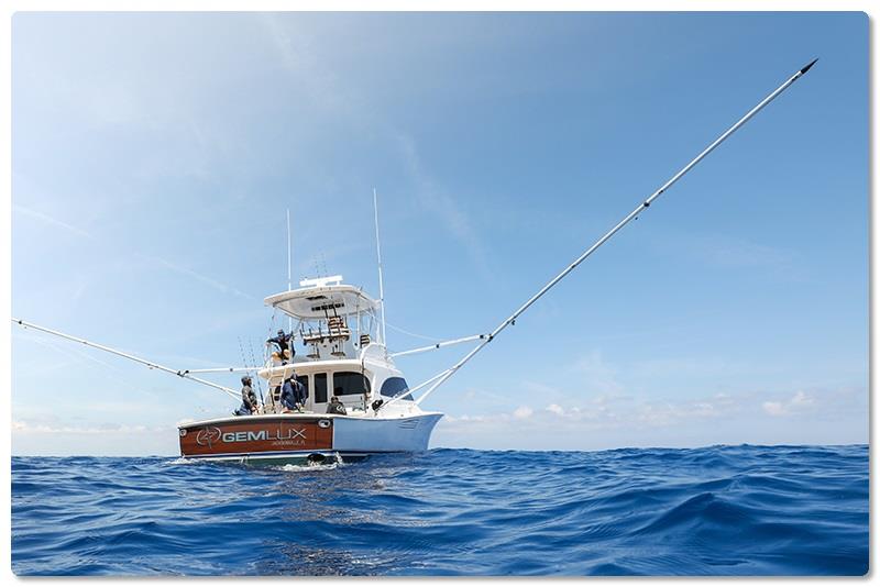 46 Billfish photo copyright Viking Yachts taken at  and featuring the Fishing boat class