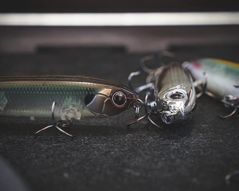 JT-95 and JT-115 - photo © Daiwa