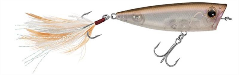 Flash Waksagi - photo © Daiwa USA