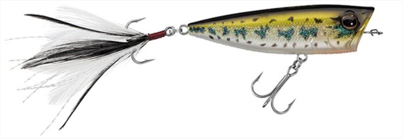 Baby Bass photo copyright Daiwa USA taken at  and featuring the Fishing boat class