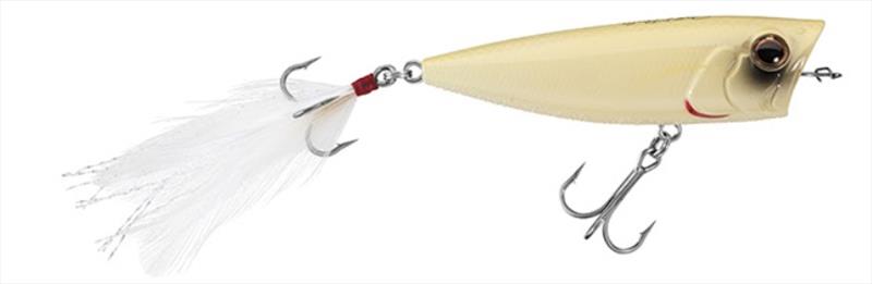 Bone - photo © Daiwa USA