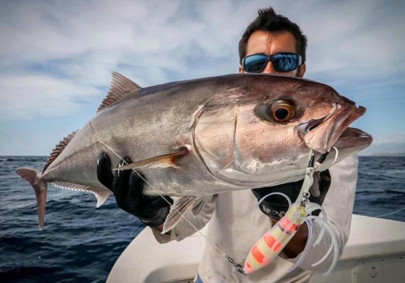 The Sea Falcon® Slow Squid photo copyright Sea Falcon taken at  and featuring the Fishing boat class