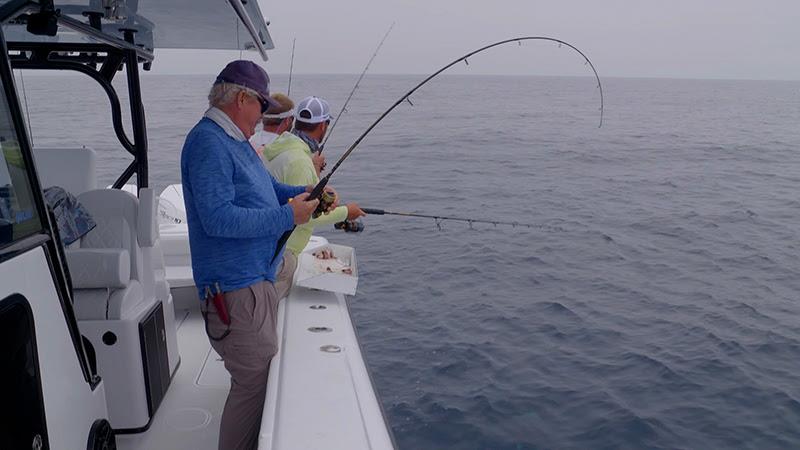 Ocean Legacy - photo © Yellowfin