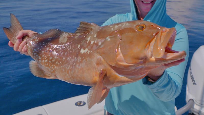 Ocean Legacy in Key West - photo © Yellowfin
