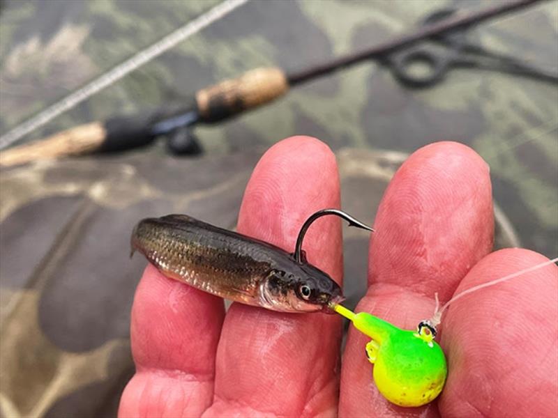 Fire-Ball and a fathead. Doesn't get easier than that - photo © Northland Fishing Tackle