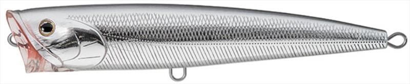 Chrome - photo © Daiwa
