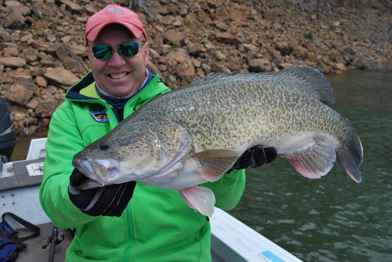 Murray cod Lake Eildon