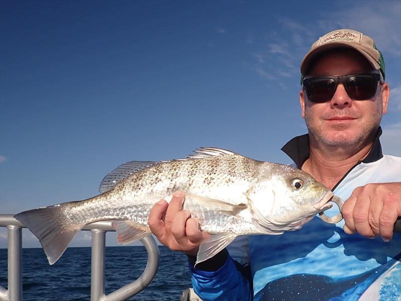 Fisho's Weekly Fishing Report - photo © Fraser Guided Fishing