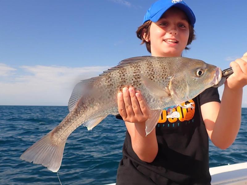 Grunter would have to be one of our tastiest inshore species - photo © Fraser Guided Fishing