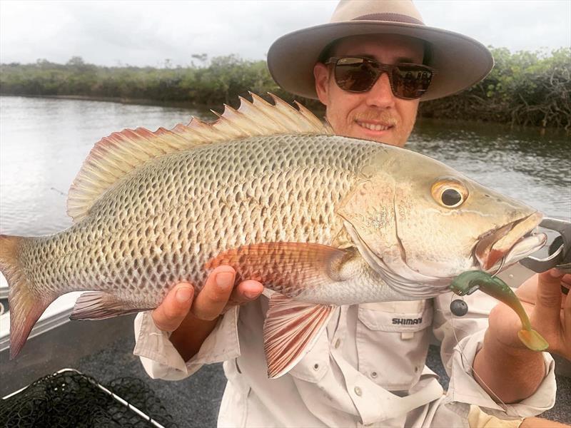 Shop regular Tauri with a nice mangrove jack, caught on a Zman Diezel Minnowz - photo © Fisho's Tackle World