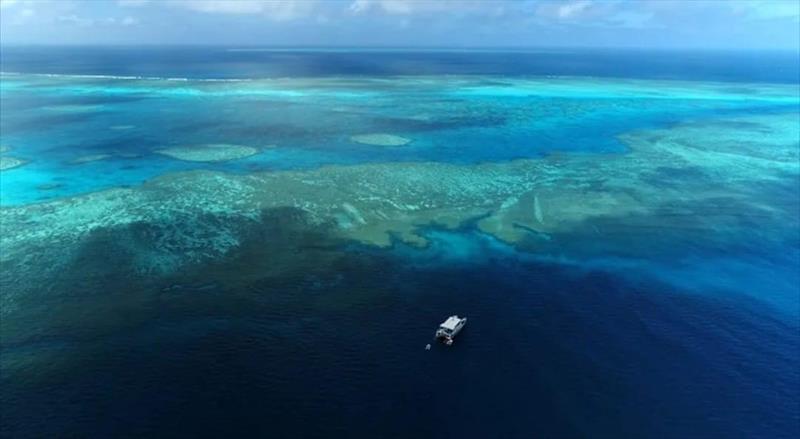 Big Cat Reality - Swains Reef trip - photo © Fisho's Tackle World