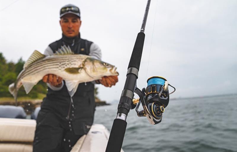 Daiwa Saltiga reel - photo © Daiwa