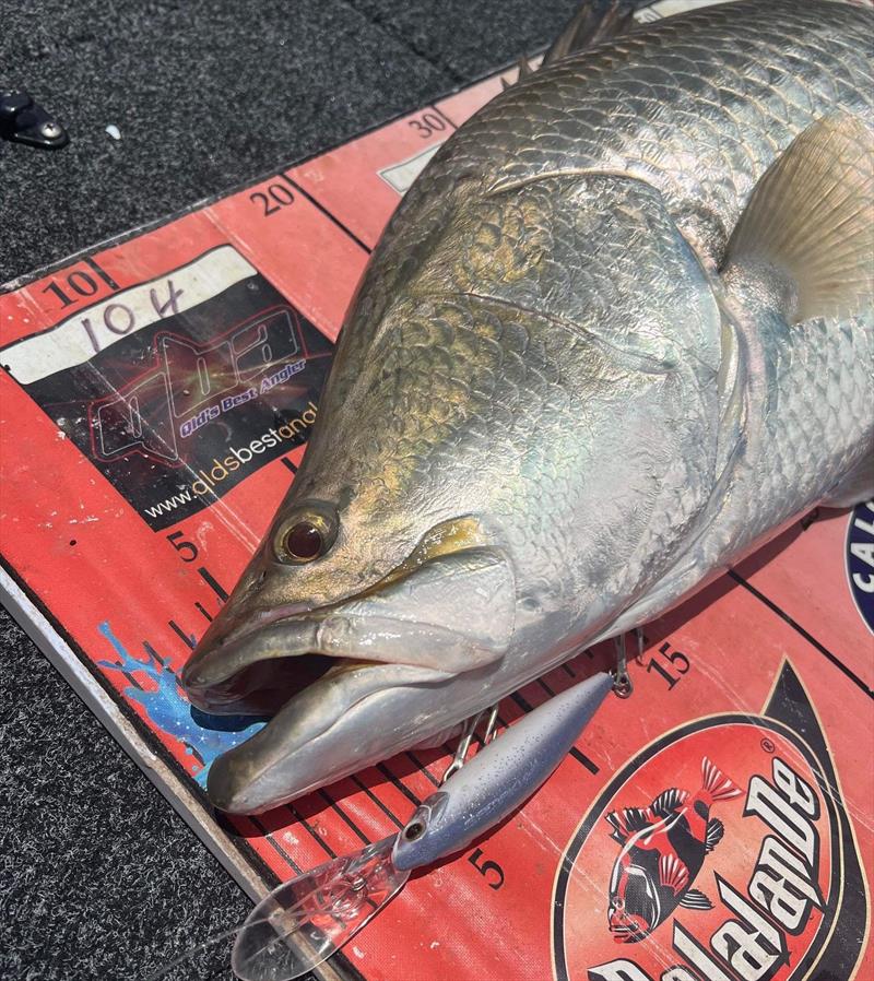 Staff member Logan, tempted a nice salty into eating a Samaki Redic photo copyright Fisho's Tackle World taken at  and featuring the Fishing boat class
